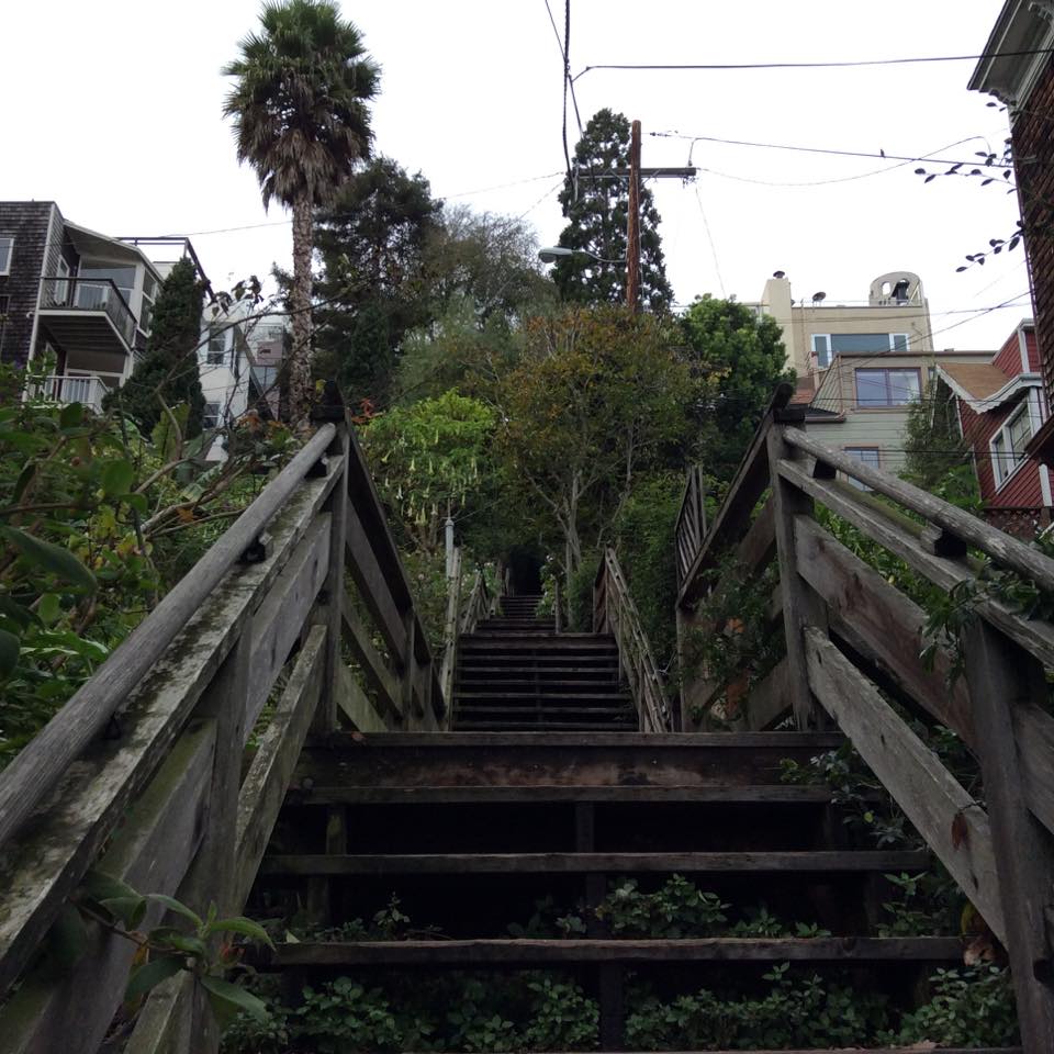 Telegraph Hill 8